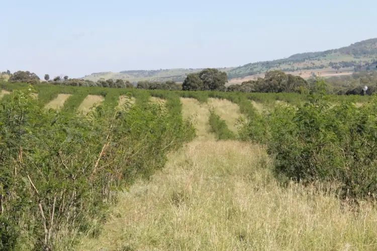 Third view of Homely rural property listing, Address available on request