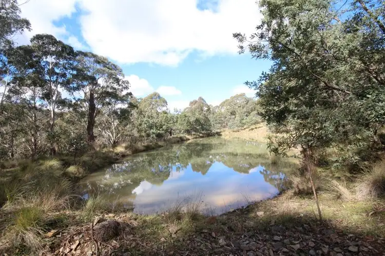 Third view of Homely rural property listing, 381 Sheepstation Forest Road, Oberon NSW 2787