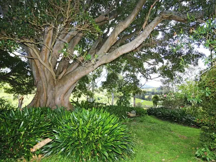 Fourth view of Homely rural property listing, A495 Princes Highway, Broughton Village NSW 2534