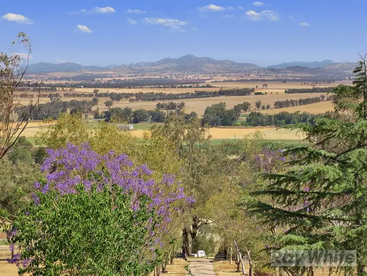 Main view of Homely rural property listing, 20 Gallagher Road, Tamworth NSW 2340