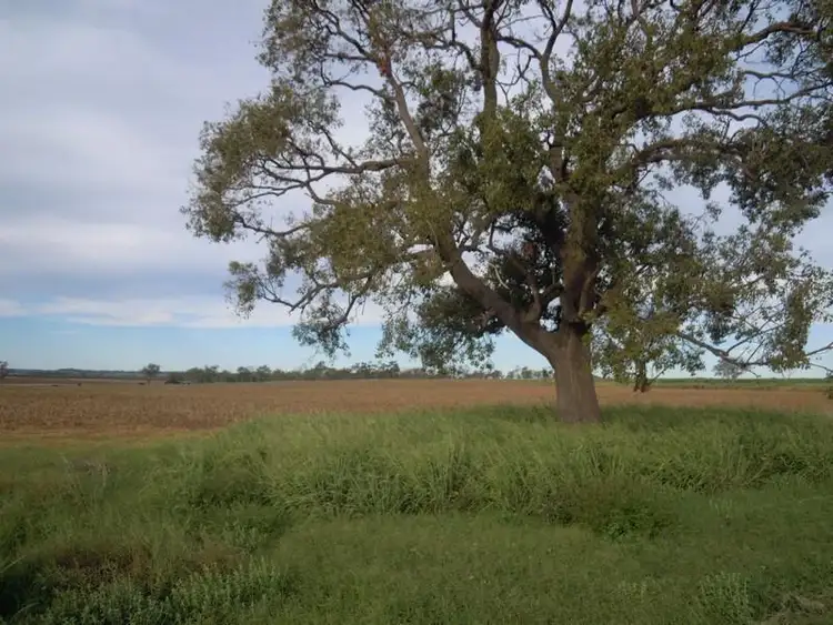 lot 45 Toowoomba Cecil Plains Road, Mount Tyson QLD 4356