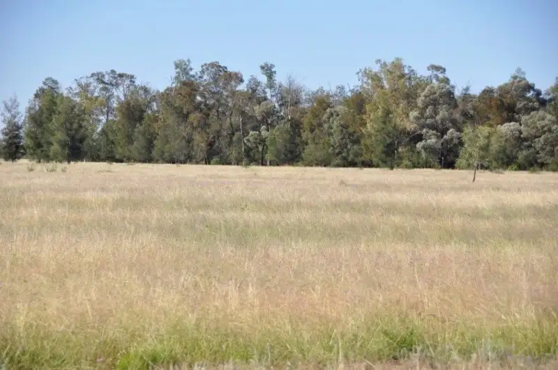 Main view of Homely rural property listing, "Cardiff" Bulrush-Billabong Road, Miles QLD 4415