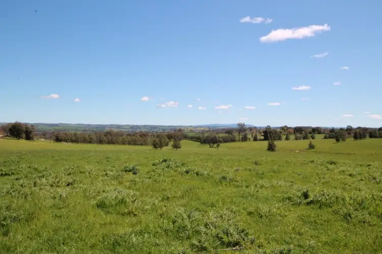 195 Henry Lawson Way, Young NSW 2594