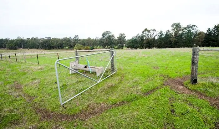 Third view of Homely rural property listing, 61 Thomas Road, Nannup WA 6275