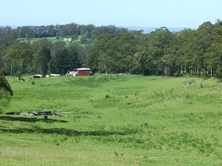 Seventh view of Homely rural property listing, 447 National Park Road, Ravensbourne QLD 4352