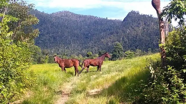 Lot 32 Tully Mission Beach Road, Mission Beach QLD 4852