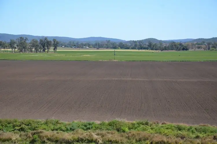 Third view of Homely rural property listing, 173 Macaulay Road, Tansey QLD 4601