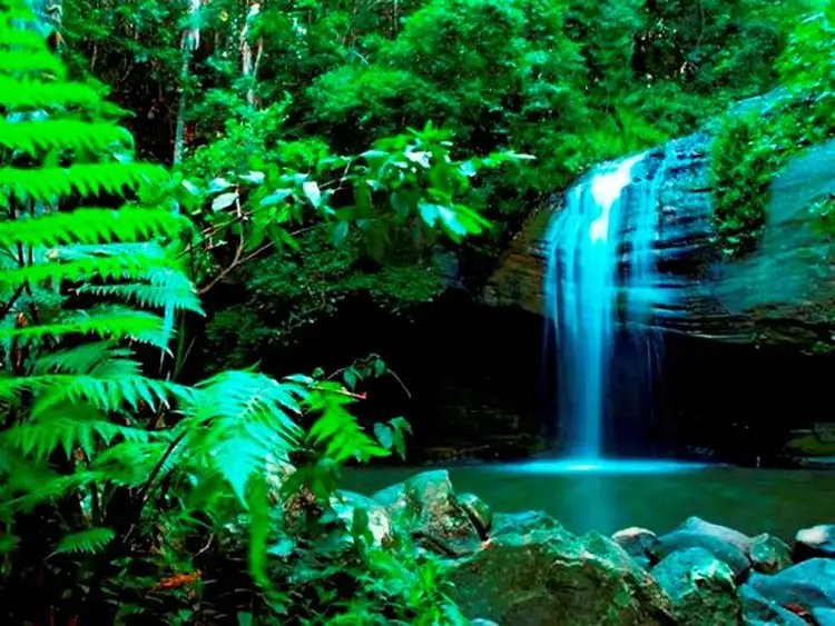 Fourth view of Homely land listing, 20 Wilguy Crescent, Buderim QLD 4556