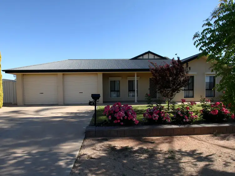 Main view of Homely house listing, 13 Milich Court, Loxton SA 5333