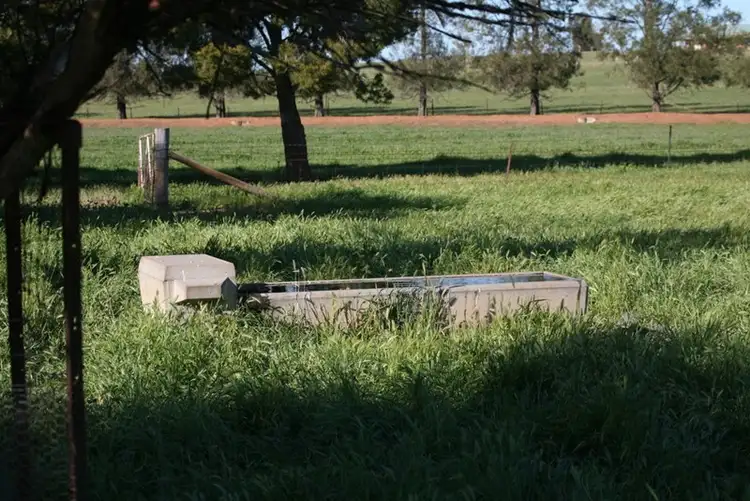 Seventh view of Homely rural property listing, "JEML Park" 218 Wongajong Road, Forbes NSW 2871