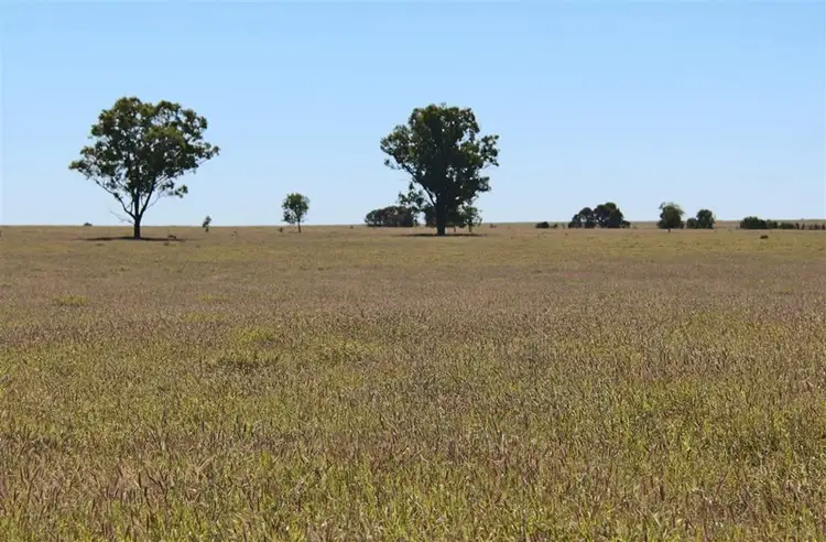 Fifth view of Homely rural property listing, Comet River Lot 1 Klimore Road, Comet QLD 4702