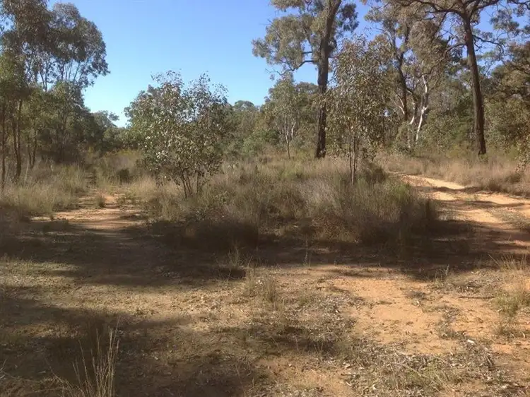 Fifth view of Homely rural property listing, Lot 4 North Pine Creek, Coonabarabran NSW 2357