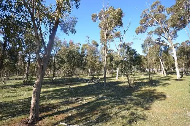 Fourth view of Homely rural property listing, Lot 160 Road 137, Leighton SA 5417