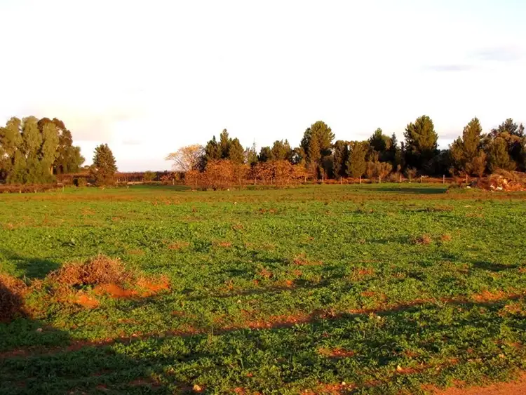 Seventh view of Homely land listing, 18 and 19 Tunkin Road, Barmera SA 5345