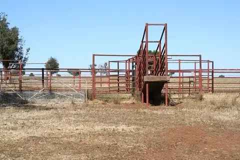 Fifth view of Homely rural property listing, 01 Quandong, Tooraweenah NSW 2831