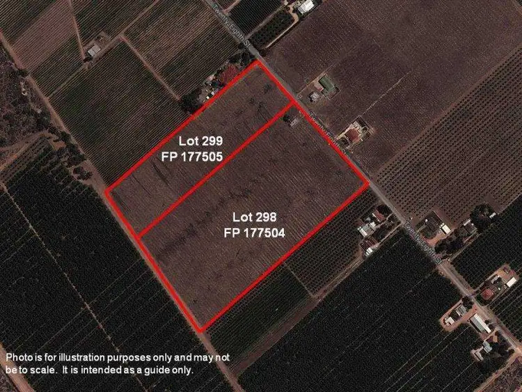 Second view of Homely rural property listing, LOT/298 Twentyeighth Street, Renmark SA 5341