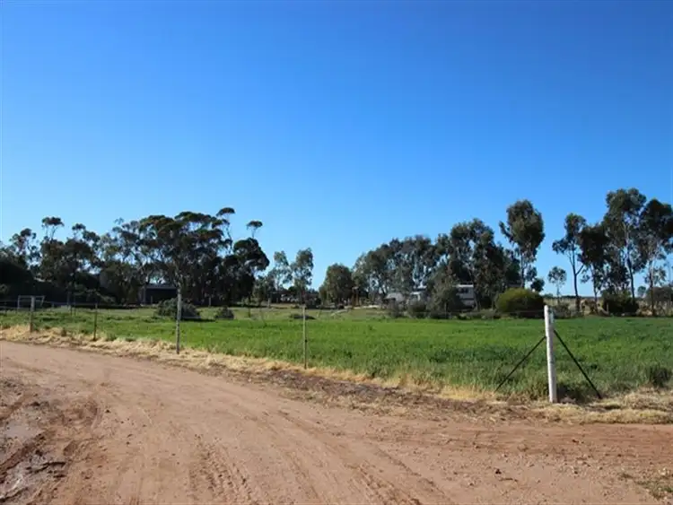 Seventh view of Homely rural property listing, 400 Murrayview Road, Waikerie SA 5330