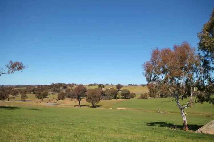 Seventh view of Homely house listing, 59 Belmore Road, Young NSW 2594