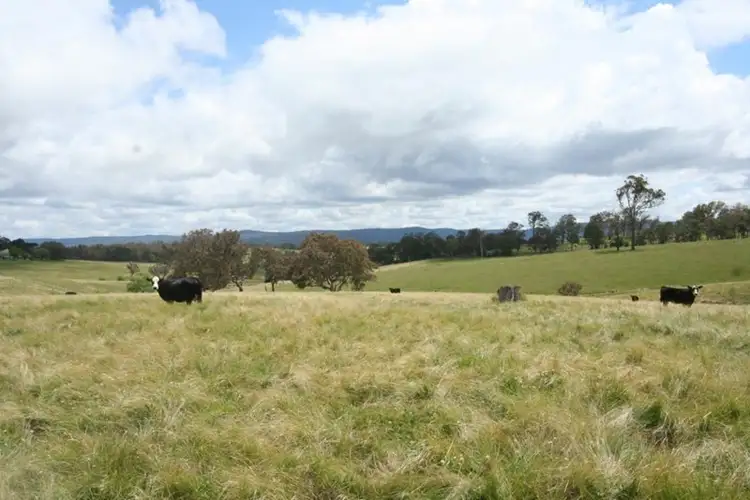 Third view of Homely land listing, Lot 80 Nutshell Road, Tenterfield NSW 2372