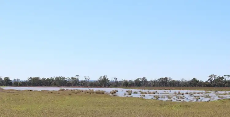 Fourth view of Homely rural property listing, Comet River Lot 1 Klimore Road, Comet QLD 4702