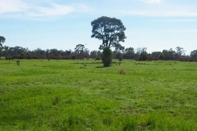 Fourth view of Homely rural property listing, 0 Texas-Yelarbon Road, Beebo QLD 4385