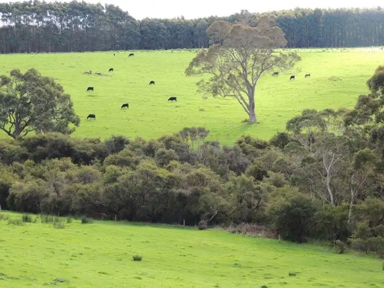 Seventh view of Homely rural property listing, 74 Nekel Road, Denmark WA 6333