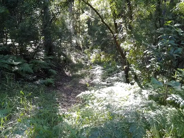 Third view of Homely land listing, 11 Barmark Court, Tallebudgera Valley QLD 4228