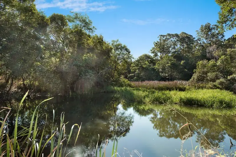 Main view of Homely land listing, 163 Windsor Road, Nambour QLD 4560