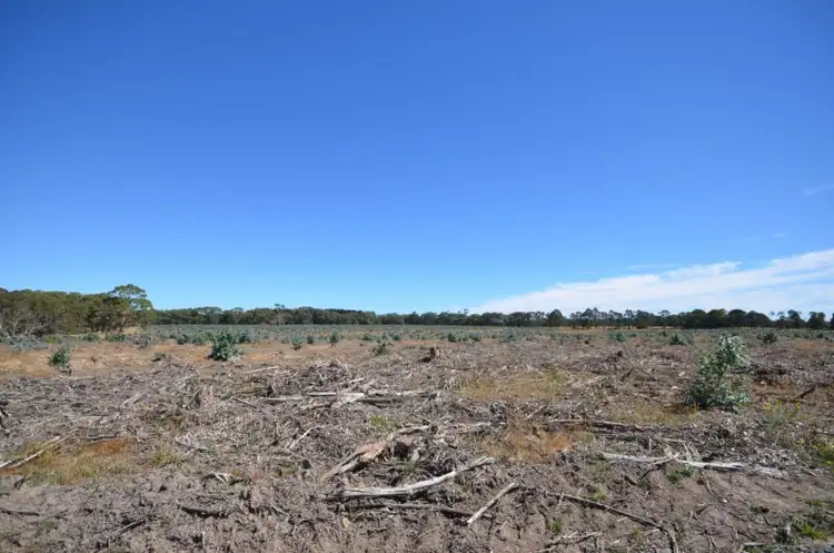 Sixth view of Homely rural property listing, "McVeigh" Mount Mercer - Dereel Road, Dereel VIC 3352