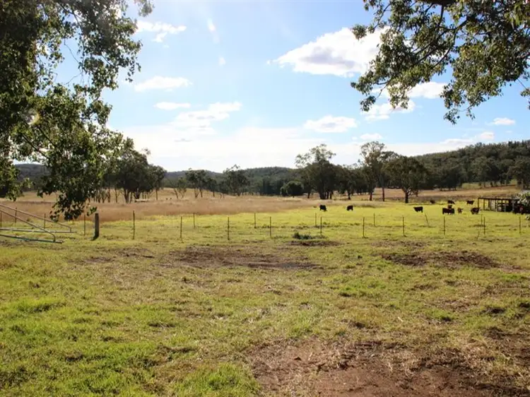 Second view of Homely rural property listing, 285 TOTHILLS Road, Coonabarabran NSW 2357