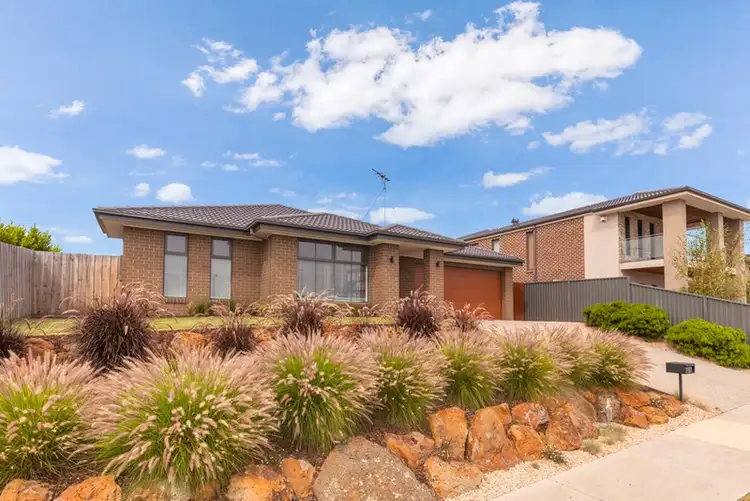19 Swanbourne Avenue, Highton VIC 3216