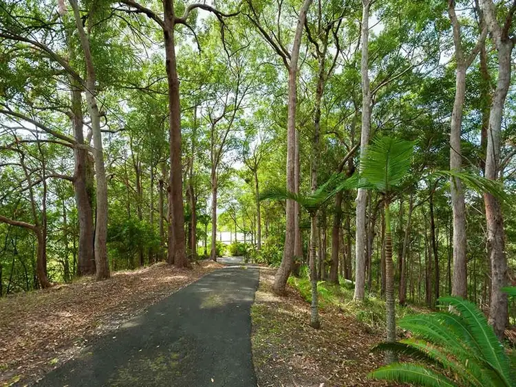 Seventh view of Homely house listing, 77 Francis Road, Bli Bli QLD 4560