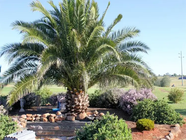 Fourth view of Homely rural property listing, 8 Evatt Street, Temora NSW 2666