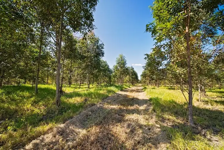 Sixth view of Homely rural property listing, 1292 Wang Wauk Road, Nabiac NSW 2312