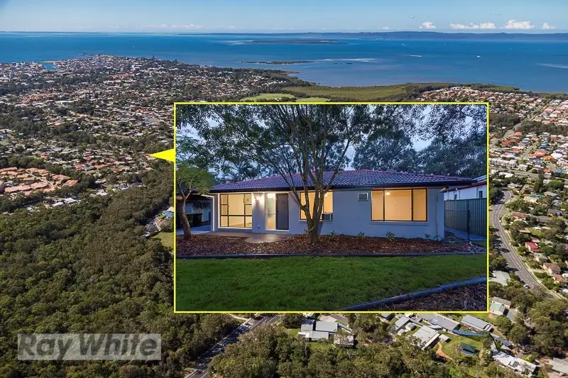 Main view of Homely house listing, 14 Capricorn Drive, Cleveland QLD 4163