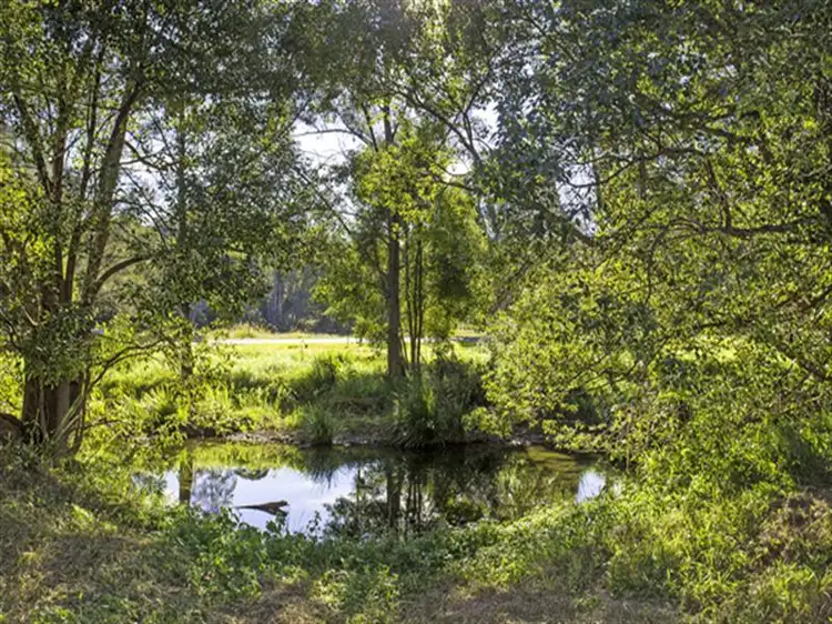 100 Upper Crystal Creek Road, Crystal Creek NSW 2484