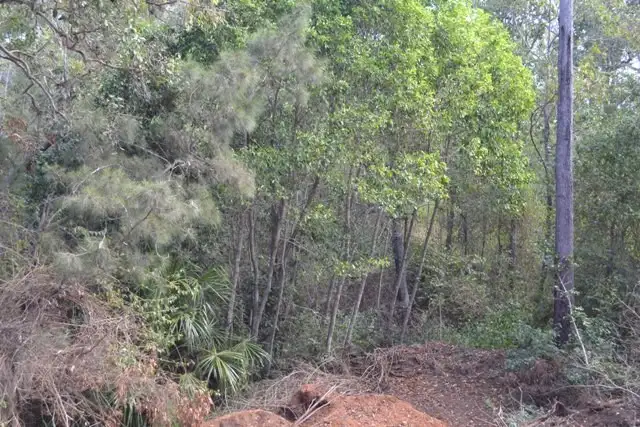 Third view of Homely land listing, Lot 31 Tanby Post Office Road, Bondoola QLD 4703