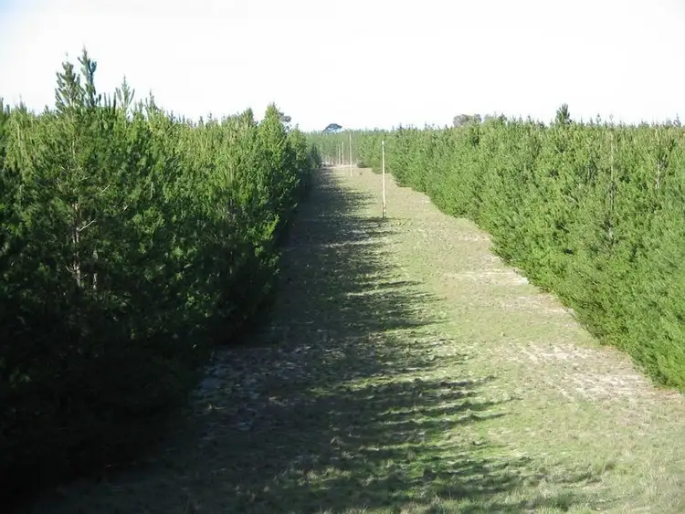 Fifth view of Homely rural property listing, Lot 8 Will Road, Bangham SA 5268