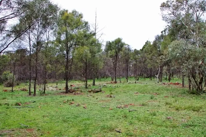 Fifth view of Homely land listing, 147B Simpson Drive, Grenfell NSW 2810