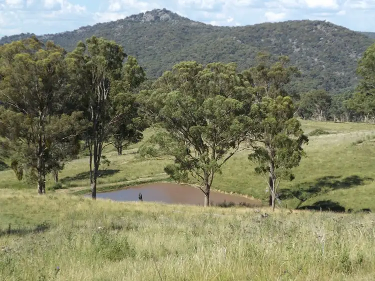 Sixth view of Homely rural property listing, 1028 Torrington Road, Deepwater NSW 2371