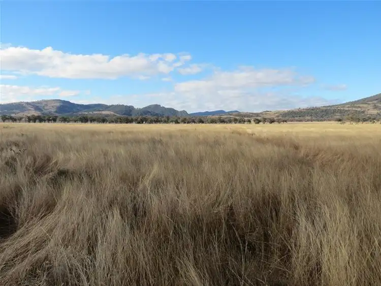 Sixth view of Homely rural property listing, 201 Yorks Road, Quirindi NSW 2343
