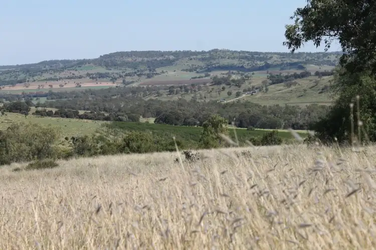 Fifth view of Homely rural property listing, Address available on request