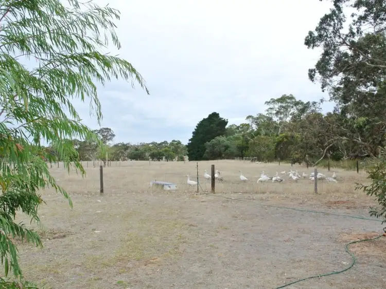 Sixth view of Homely rural property listing, 237 Avenue Range Road, Reedy Creek, Kingston Se SA 5275