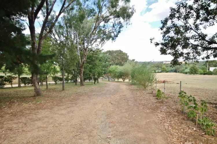Main view of Homely house listing, 59 Noonans Road, Young NSW 2594