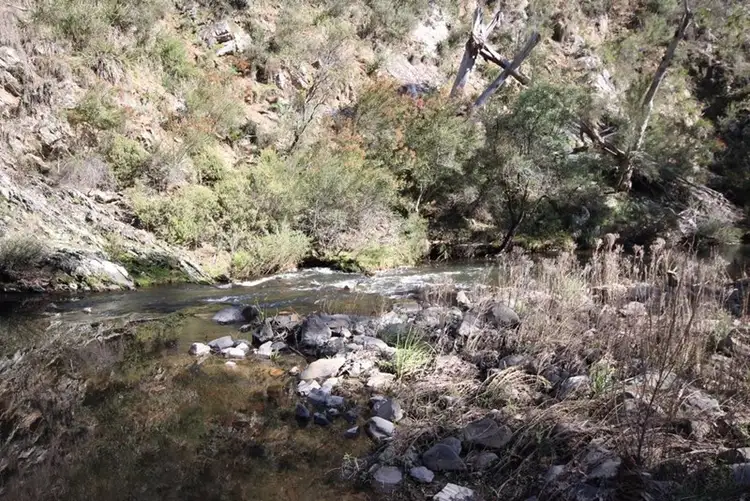 Second view of Homely rural property listing, 381 Sheepstation Forest Road, Oberon NSW 2787