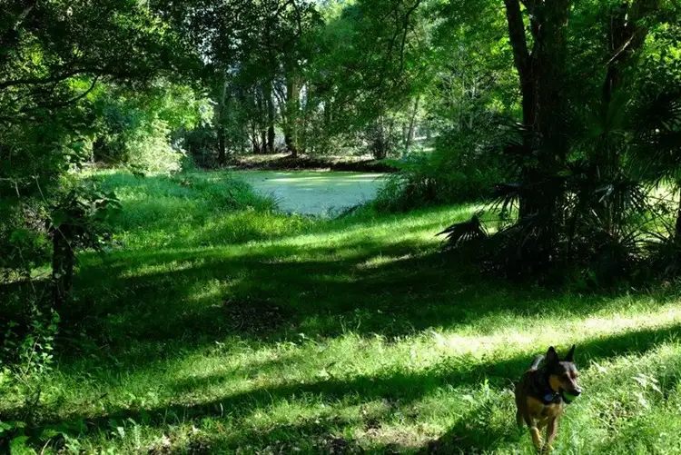 Lot 10 Hicks Lane, Tumbi Umbi NSW 2261