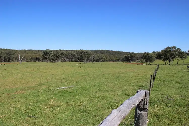 Seventh view of Homely rural property listing, 40 DOWNS TOTHILLS Road, Coonabarabran NSW 2357