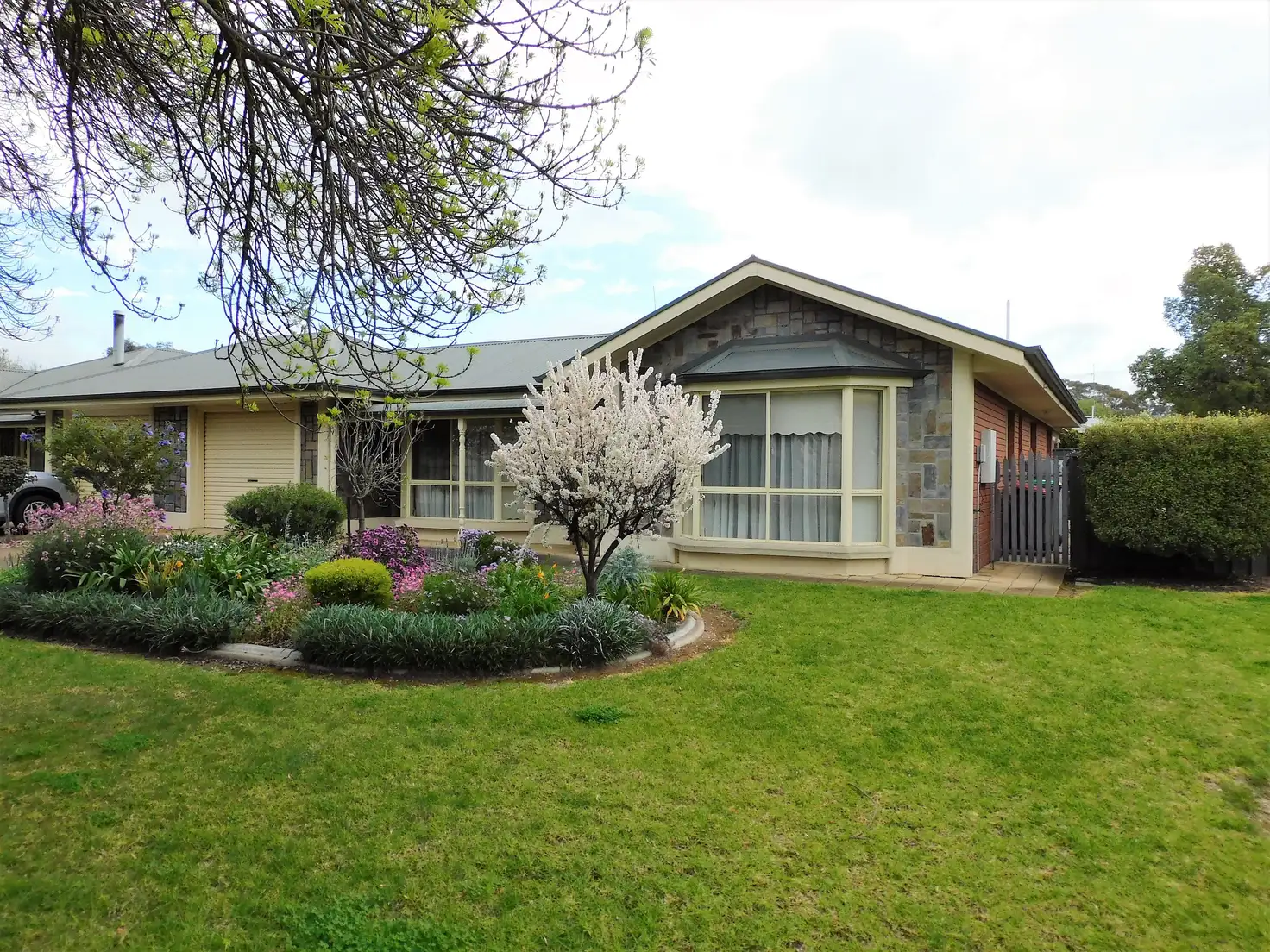 Main view of Homely house listing, 19 West Terrace, Bordertown SA 5268