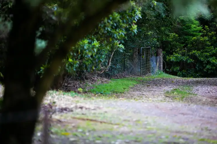 Fifth view of Homely house listing, 44 Missingham Parade, Robertson NSW 2577