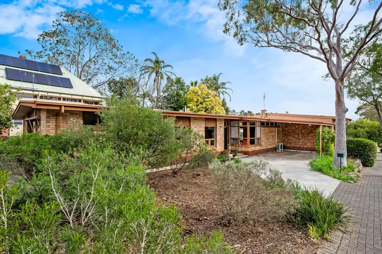 71 Lockwood Road, Burnside SA 5066